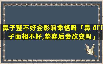 鼻子整不好会影响命格吗「鼻 🐕 子面相不好,整容后会改变吗」